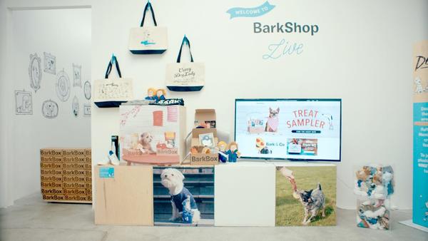 BarkShop Live pop-up shop | Shopify Retail blog