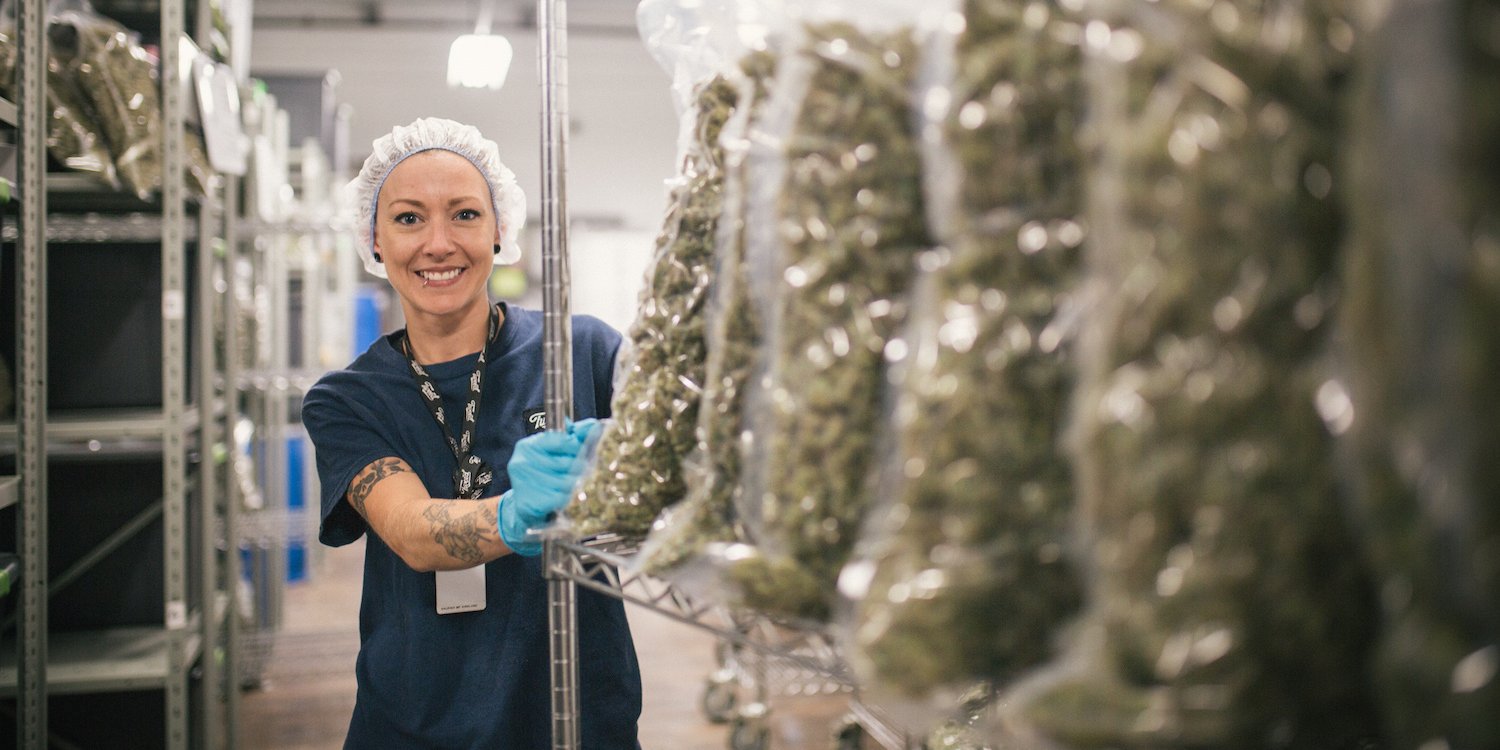 Canopy Growth marijuana weed