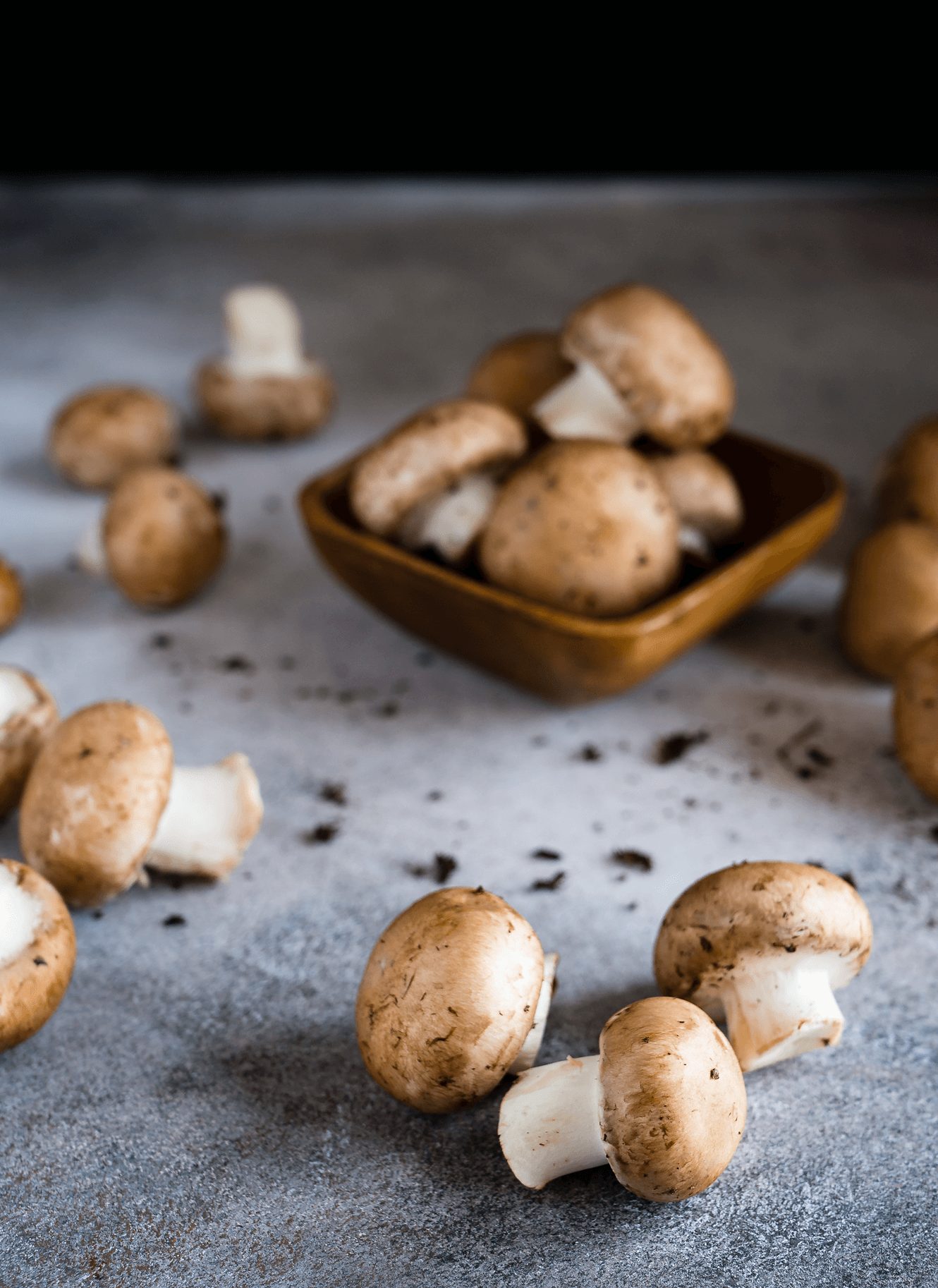 New York City Indoor Farm Grows Organic, Vegan Mushroom Meat in Brooklyn – LIVEKINDLY