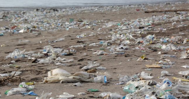 Retailers Need To Step Up Efforts To Battle Plastic Pollution: Study – ESM – The European Supermarket Magazine