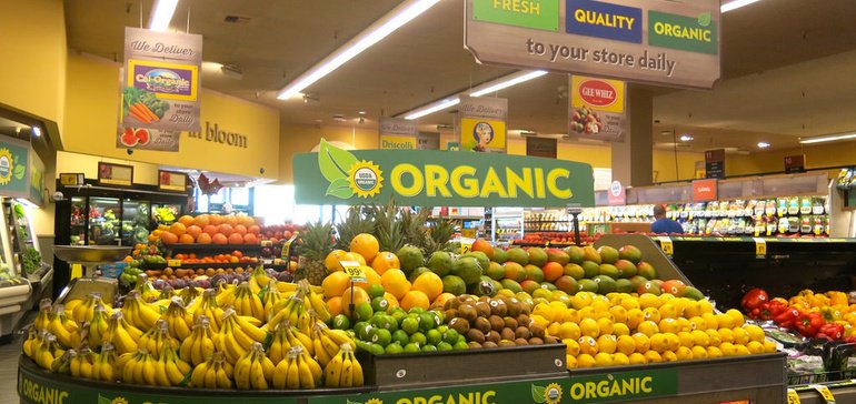 Millennials and Hispanics drive boost in organic sales – Food Dive