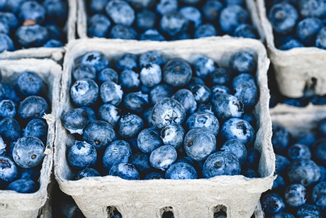 Are Bio Supermarkets eco-friendly? – FreshPlaza.com