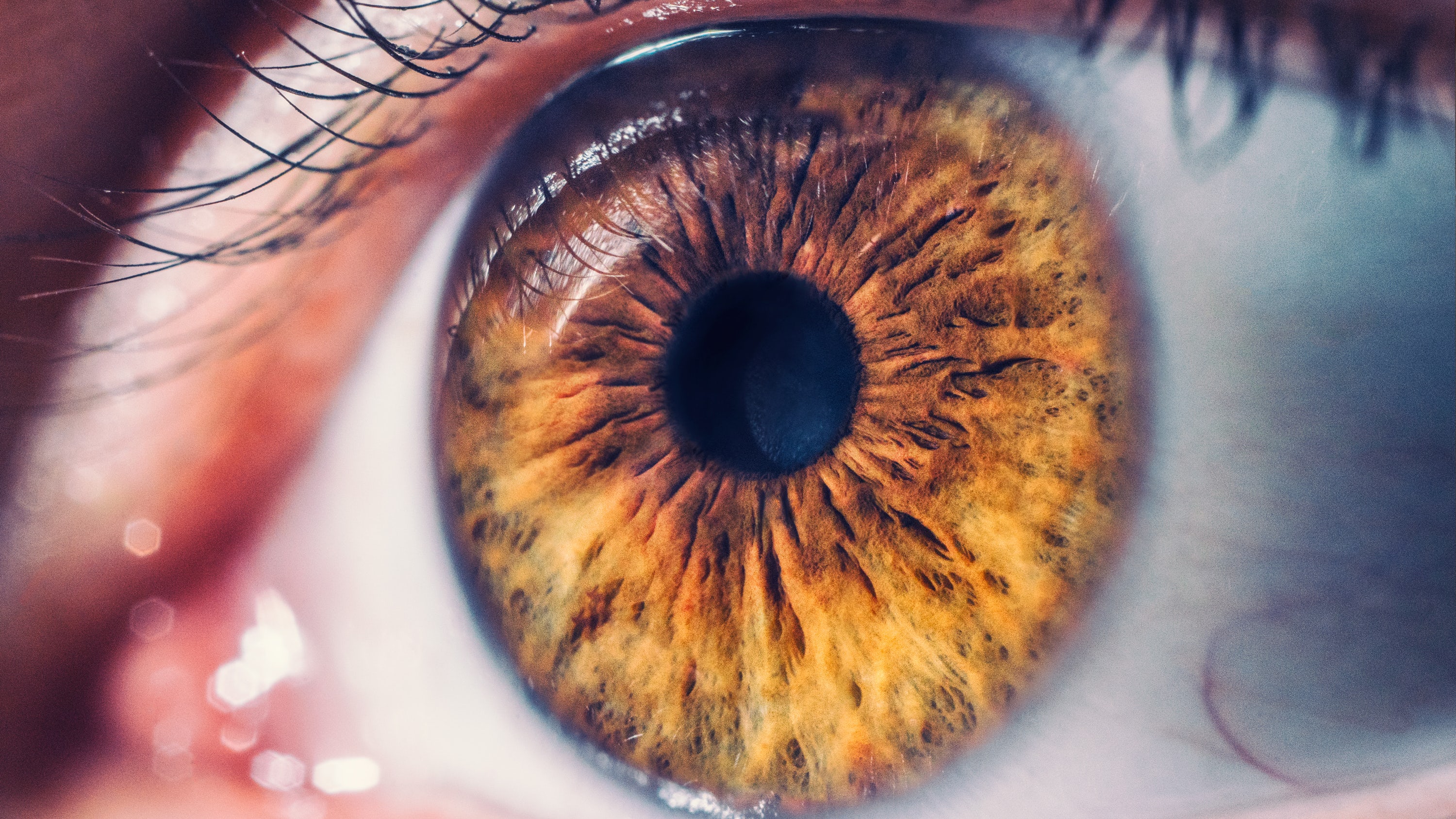 Is Surveillance the Future of Service? | Opinion, Retail Prophet – The Business of Fashion