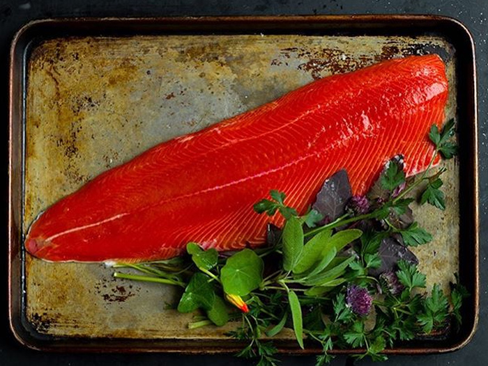 Bristol Bay Sockeye Salmon Brand Makes Big Splash in 2018 – PerishableNews