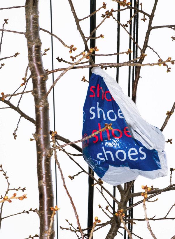 New Yorkers Say They Want to Save the Environment (but They Also Love Their Plastic Bags) – New York Times