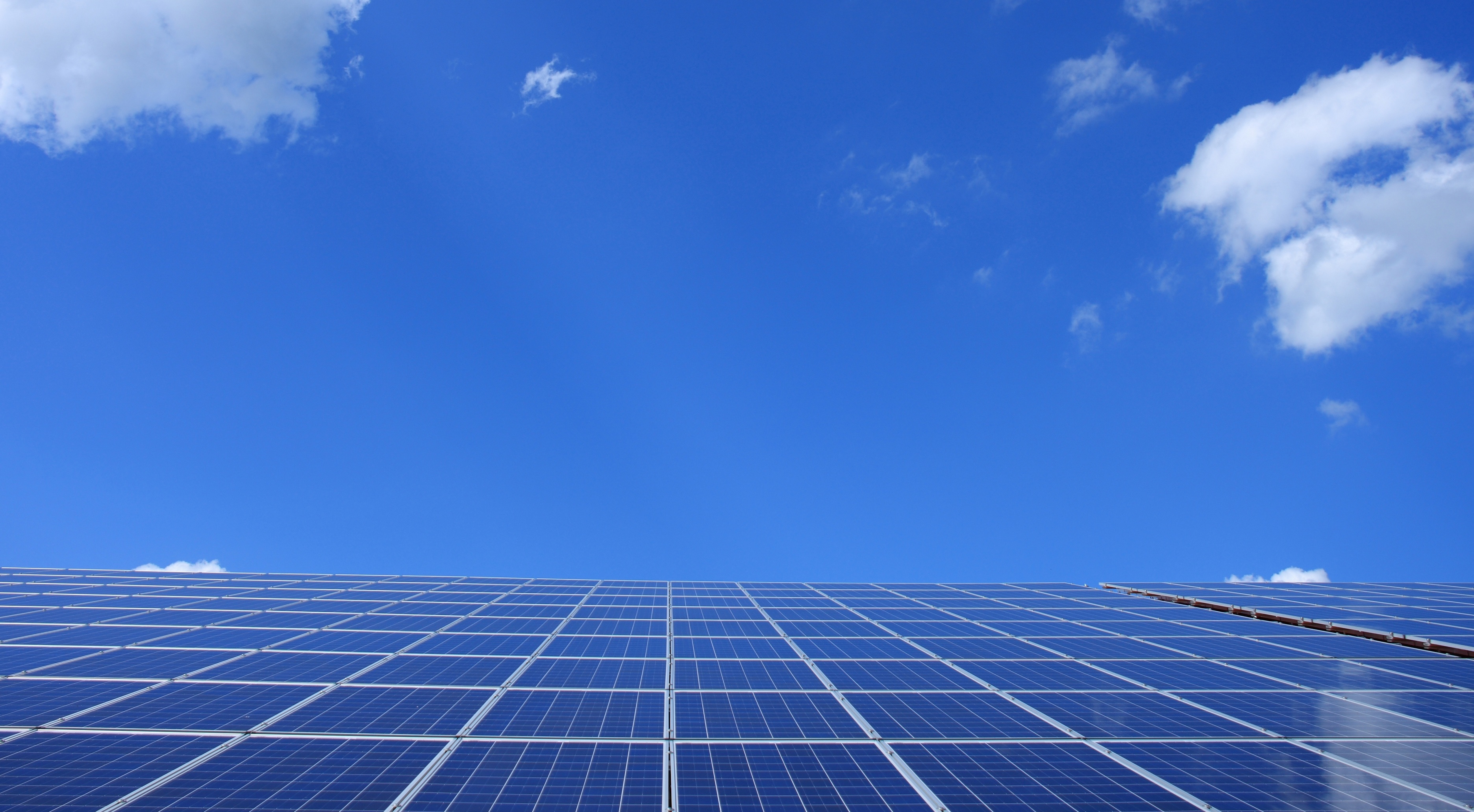 Holistic climate action at its finest – a tour in IKEA's new London store – The Climate Group