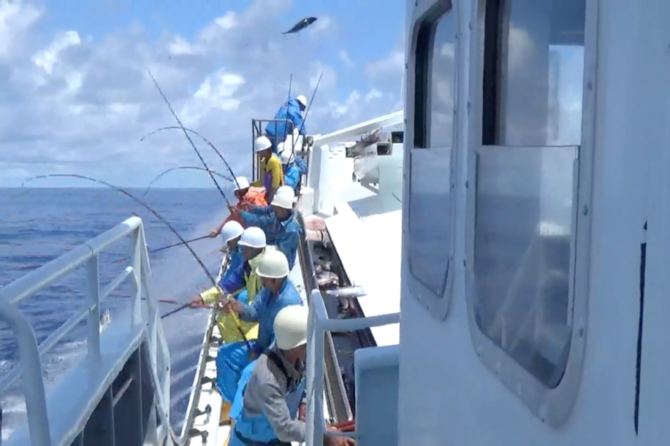 Seafood traceability and transparency: best practices | 2019-04-09 – Supermarket Perimeter