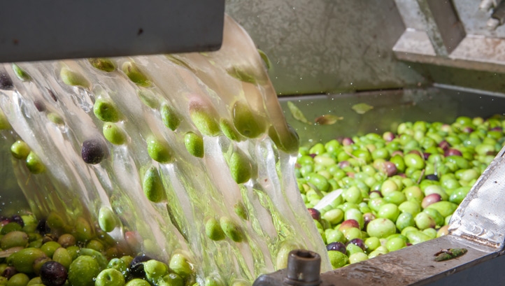 Three-course meal: How addressing food waste can deliver a triple win for sustainable business – edie.net
