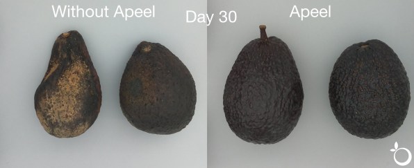 Apeel's protective coating for fruits and veggies fights waste – Fast Company