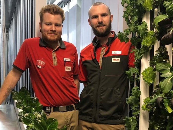First ICA Maxi Store in Sweden Launches Sale of Onsite-Grown Produce – PerishableNews