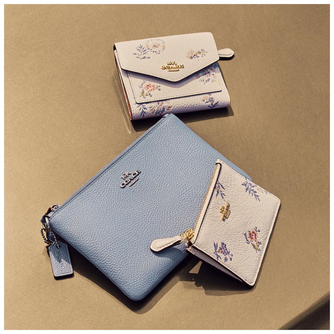 Good things, small packages. Shop our small leather goods in pastels and our Meadow Prairie Print. #CoachNY