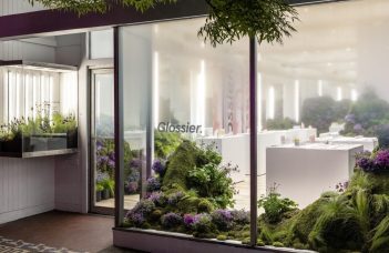 Plantas na decoração: um novo cenário?