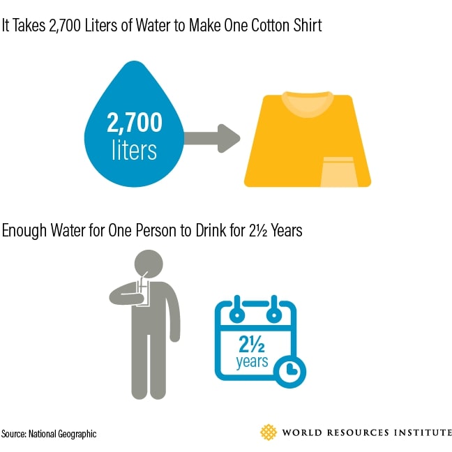 Why It's Worth It for Your Apparel Brand to Go Green