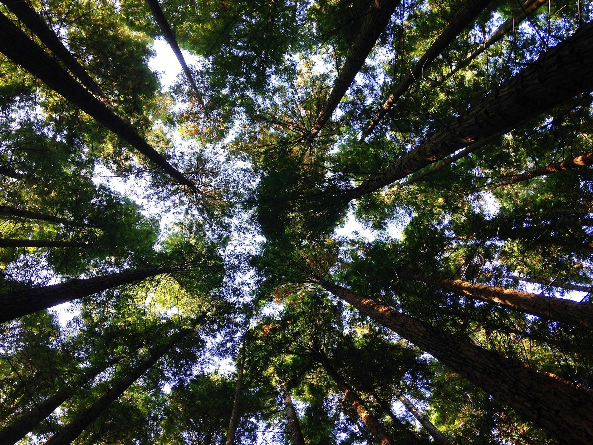 5 Ways To Educate Customers About Sustainable Packaging