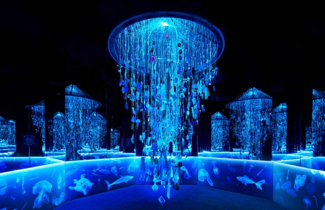 Popular ‘Arcadia Earth’ Exhibit Extends Lease