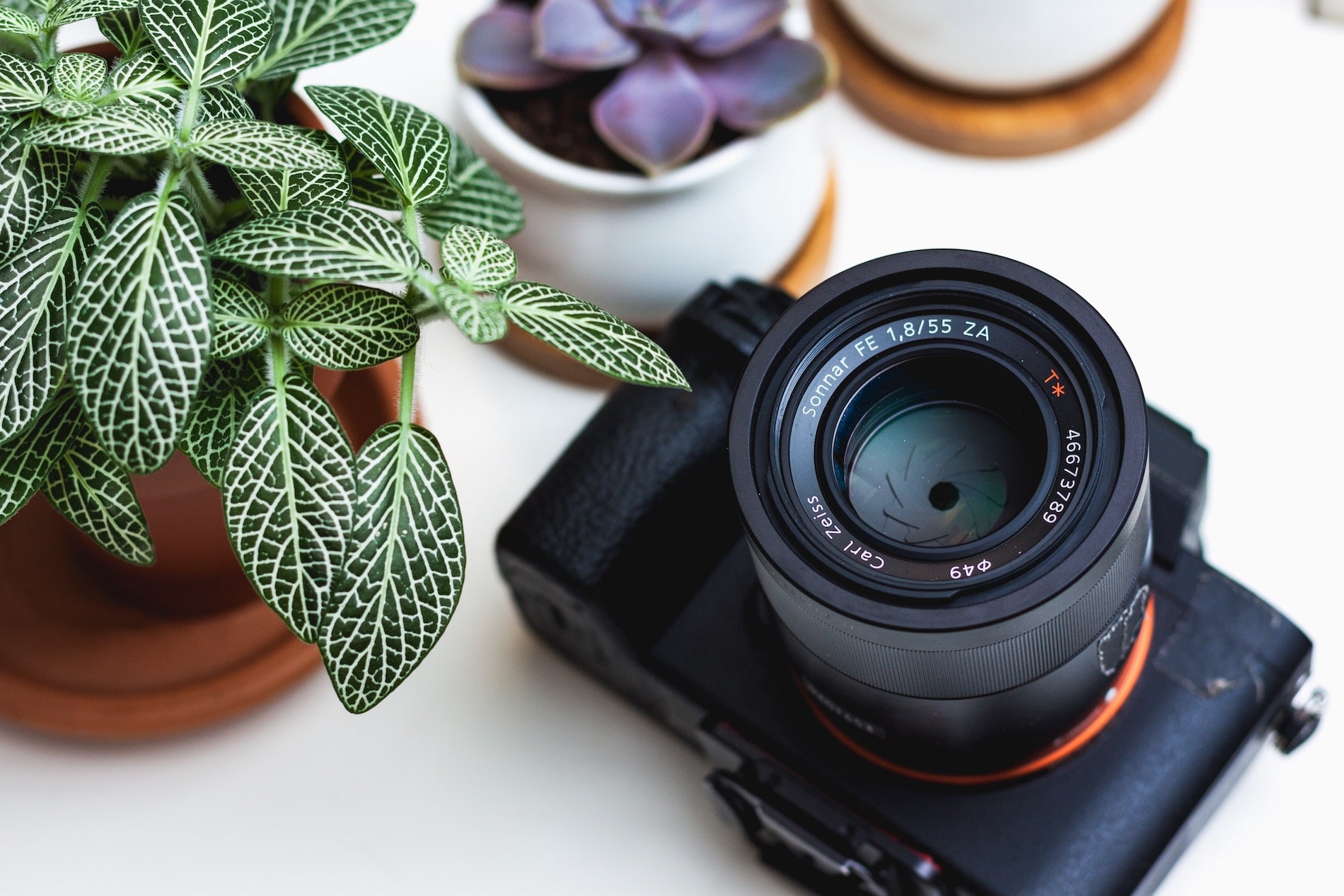 3 Ways to Take Your Product Photos to the Next Level