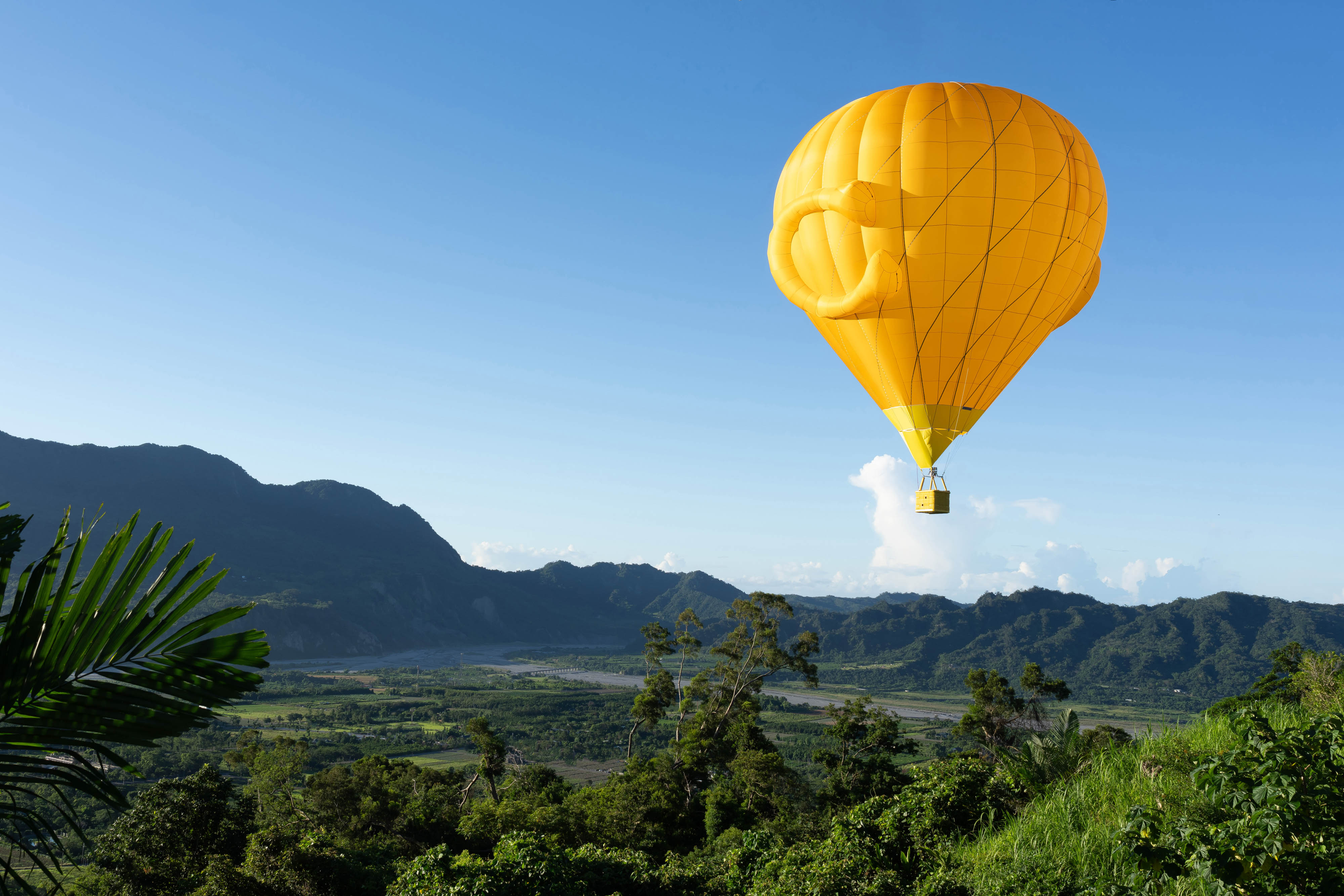 Coach concludes Tabby Hot Air Balloon Experience Inspired By “Find Your Courage” Campaign