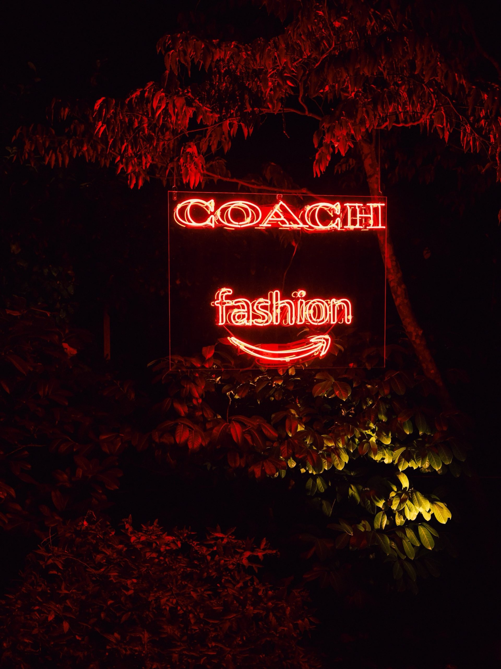 Coach X Amazon Fashion Cfda Fashion Awards Afterparty