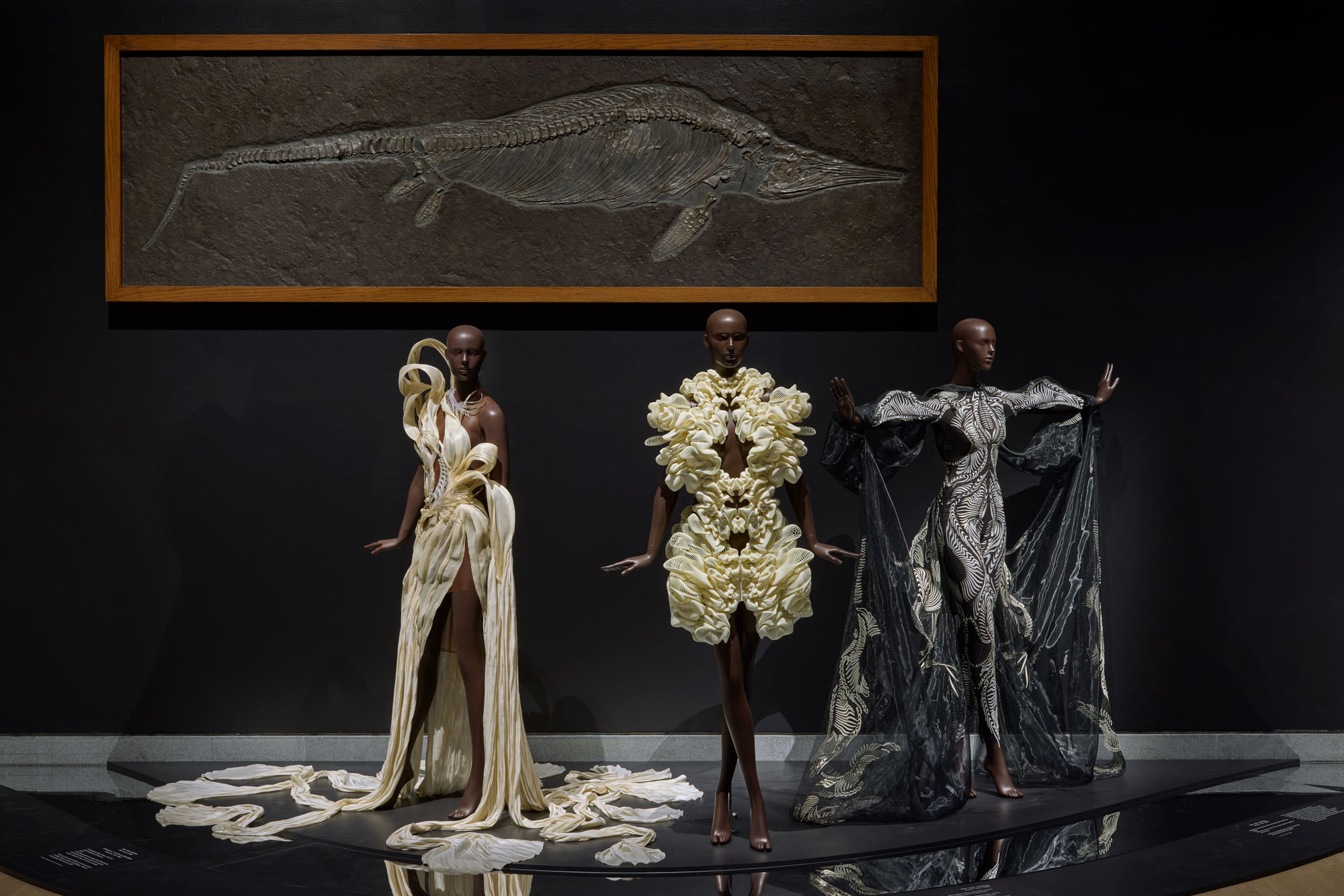 The Brooklyn Museum Presents North American Debut of Iris van Herpen: Sculpting the Senses