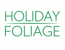 Holiday Foliage
